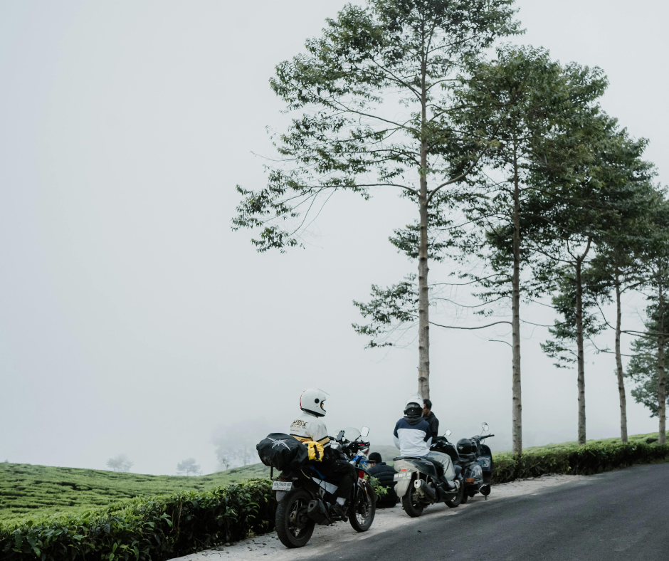 Accident claim review